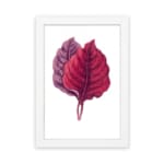 Vintage wall art featuring two overlapping leaves in red and purple on a white background with a white frame. hung on the wall