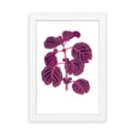 Vintage wall art showing a purple leafy plant with pink veins on a white background, framed in white. hung on the wall