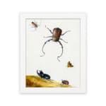 Infidu vintage wall art featuring detailed insects, including a beetle, butterfly, and smaller bugs, set against an off-white background with a touch of wild landscape. hung on the wall on a white background
