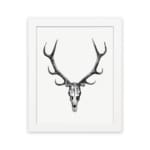 Rustic deer skull vintage wall art with black-and-white design on a grainy background. hung on the wall on a white background