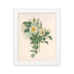 Infidu vintage wall art featuring white roses with yellow centers and green leaves on a soft beige background in a classic white frame. hung on the wall