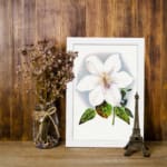 Vintage wall art of a white flower with soft purple hues and green leaves, framed in white. displayed on the wall
