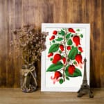 Infidu vintage wall art of red bell-shaped flowers with green leaves on a white background, framed in white. displayed on the wall