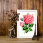 Vintage wall art with a pink rose in full bloom, a rosebud, and green leaves on a white background with a white frame. displayed on the wall