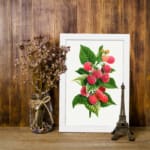Vintage wall art of ripe red and pink raspberries with green leaves on a white background, framed in white. displayed on the wall