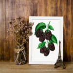 Infidu Dark Berry Cluster Botanical Vintage Wall Art with dark berries and green leaves framed in white. displayed on the wall