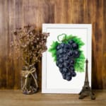 Vintage wall art of dark purple grapes with green leaves on a white background. displayed on the wall