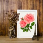 Vintage pink rose wall art with two full-bloom roses and green leaves on white background. displayed on the wall