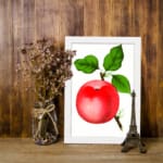 Vintage red apple wall art with green leaves on a white background. displayed on the wall