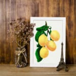 Vintage art of four yellow lemons with green leaves on a white background, framed in white. displayed on the wall