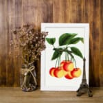 Vintage wall art of red and yellow cherries on a branch with green leaves in a white frame. displayed on the wall