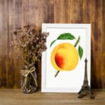 Ripe golden peach with green leaves on a white background, vintage wall art. displayed on the wall