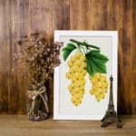Vintage art of golden yellow grapes and green leaves on a vine in botanical illustration style. displayed on the wall
