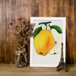 Vintage wall art of a yellow pear with a sliced half, green leaves, and a white background in a botanical illustration style. displayed on the wall