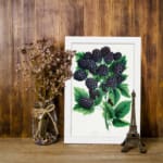 Vintage wall art print of ripe blackberries with green leaves on a white background in classic botanical style. displayed on the wall