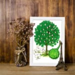 Vintage botanical illustration of a green tree with white blossoms and a spiky fruit on a white background. displayed on the wall