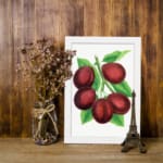 Infidu vintage wall art print of deep red plums with green leaves on a white background in classic botanical illustration style. displayed on the wall