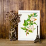 Vintage botanical wall art showing white flowers with pink petals and green leaves on a brownish-red stem against a white background. displayed on the wall