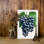 Vintage botanical wall art showing dark purple grapes with green leaves on a white background. displayed on the wall