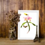 Infidu vintage wall art with pink flowers and butterflies on a white background. displayed on the wall