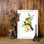 Yellow bird on a branch with green leaves and soft yellow fruits – Infidu vintage wall art displayed on the wall