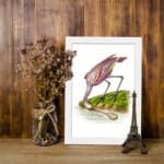 Pink bird bending near water with grass and earthy background in vintage style. displayed on the wall