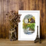 Vintage wall art showing two detailed seashells with seaweed on a white background, framed in black for a coastal nature-inspired look. displayed on the wall