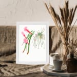 Vintage botanical wall art featuring cactus-like plants and air plants with pink flowers, framed in white for a clean, natural look. displayed on the wall