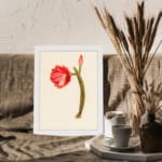 Vintage cactus flower wall art with a red bloom, pink bud, and green cactus stem on a light beige background, framed in white. displayed on the wall