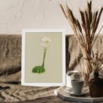 Vintage wall art with a round green cactus and a tall white flower with pink and yellow accents, on a beige background, framed in white. displayed on the wall