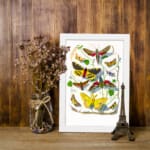 Vintage wall art featuring a collection of colorful butterflies and moths with intricate wing patterns, resting on leaves and twigs. displayed on the wall