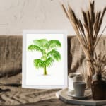 Elegant palm plant with detailed green leaves and light brown trunk, framed in black, perfect for nature-inspired vintage wall art. displayed on the wall