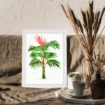 Vibrant palm plant with red growth on a clean white background, framed in white, showcasing tropical beauty and energy. displayed on the wall