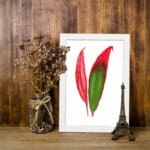 Vintage wall art of bold red and green tropical leaves in a white frame displayed on the wall