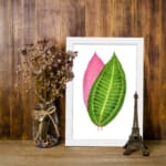 Vintage wall art featuring a green and pink leaf print with detailed veins and a white background. displayed on the wall