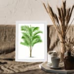 Vintage wall art of a tropical green palm plant with long leaves, set against a white background and framed in white. displayed on the wall