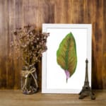 The vintage wall art features a green leaf with bright orange veins and a touch of purple at the base, set against a white background and framed in a white frame. displayed on the wall