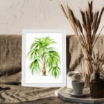 Vintage wall art of a tropical plant with long green leaves and a light brown trunk on a white background with a white frame. displayed on the wall