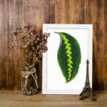 Vintage wall art showcasing a bold green leaf with a yellow-green zigzag pattern and purple edge, framed in white for an elegant finish. displayed on the wall