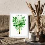 Vintage wall art of a green leafy plant with narrow leaves in varying shades of green, framed in white for a modern touch. displayed on the wall