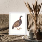 Vintage wall art of a speckled bird with brown, black, and white feathers, framed in white, ideal for nature-themed spaces. displayed on the wall