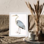 Vintage heron bird illustration with soft blue, black, and white feathers. Framed in white, offering classic nature-inspired wall art. displayed on the wall
