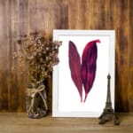 Vintage wall art featuring two red and purple leaves with a white background and white frame. displayed on the wall