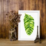 Bright green leaf with light and dark tones on white background in a white frame – vintage wall art by Infidu. displayed on the wall