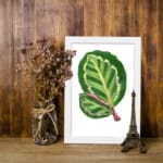 Vintage wall art of two overlapping green leaves with pinkish-red veins on a white background, framed in white. displayed on the wall
