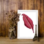 Vintage wall art with a single deep red leaf centered on a white background, framed in white. displayed on the wall