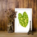 Vintage wall art of a large green tropical leaf with bright yellow streaks on a white background and white frame. displayed on the wall