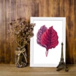 Vintage wall art featuring two overlapping leaves in red and purple on a white background with a white frame. displayed on the wall