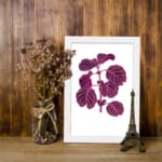 Vintage wall art showing a purple leafy plant with pink veins on a white background, framed in white. displayed on the wall