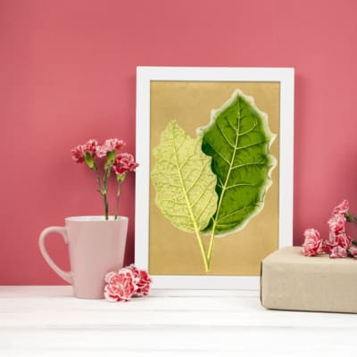 Infidu vintage wall art featuring two detailed botanical leaves in light and dark green against a soft beige background. displayed on the wall art in a white frame